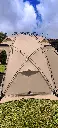 carpa marron 4.webp