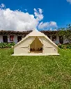 carpa mobi garden .webp