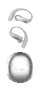 AURICULAR TRADUCCION 3.webp